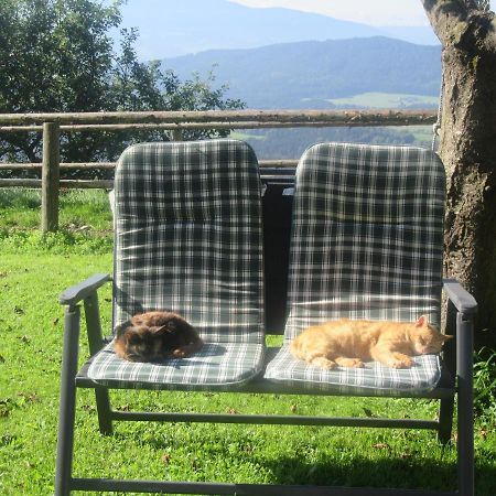 Ferienhaus Hochfelner Sankt Marein bei Knittelfeld Екстериор снимка