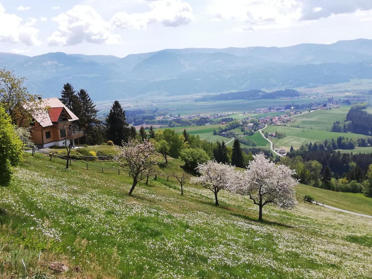 Ferienhaus Hochfelner Sankt Marein bei Knittelfeld Екстериор снимка