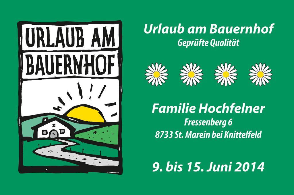 Ferienhaus Hochfelner Sankt Marein bei Knittelfeld Екстериор снимка
